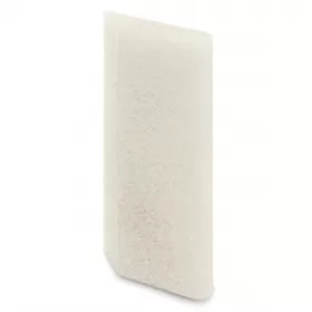 Asināšanas akmens Arkanzasa