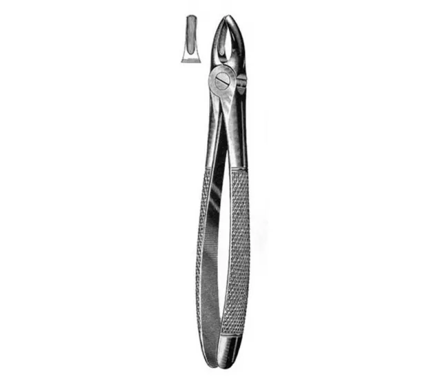 Exctracting forceps for upper centrals and canines
