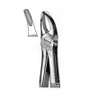 Exctracting forceps for upper premolars