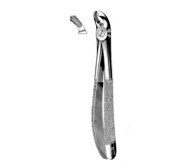 Exctracting forceps for lower wisdom