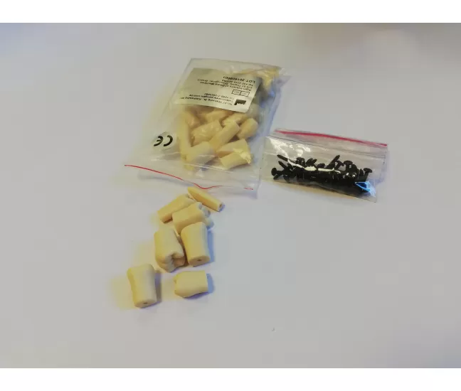 Zobi studentu modelim, 32 gab.