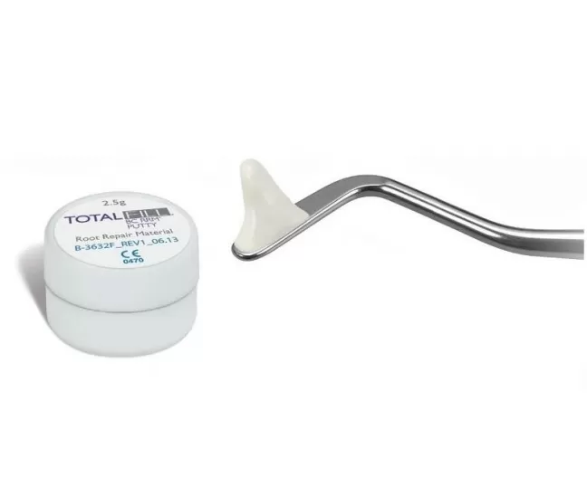 TotalFill BC RRM Putty, 2.5 g