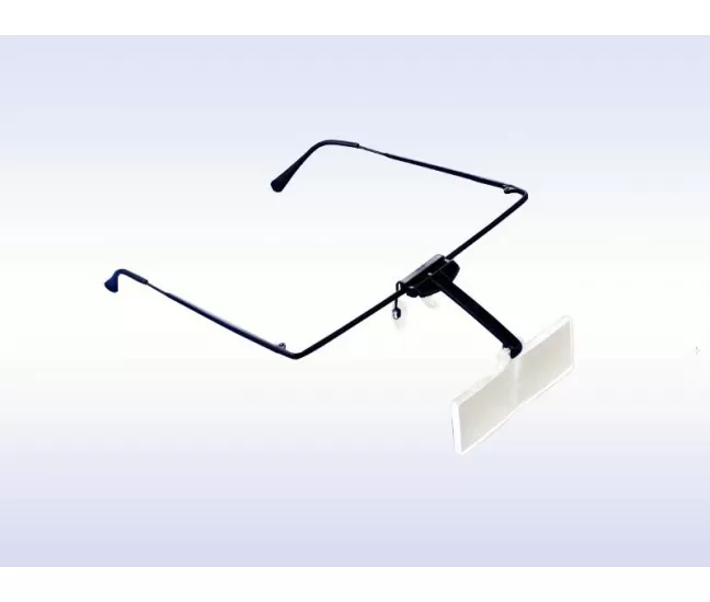 Eyeglass type magnifier