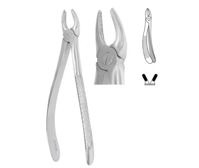 Forceps for premolars