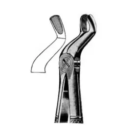 Extracting forceps for upper wisdoms Extracting forceps for upper wisdoms