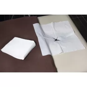 LACOMES Spunlace protect face LACOMES Spunlace protect face