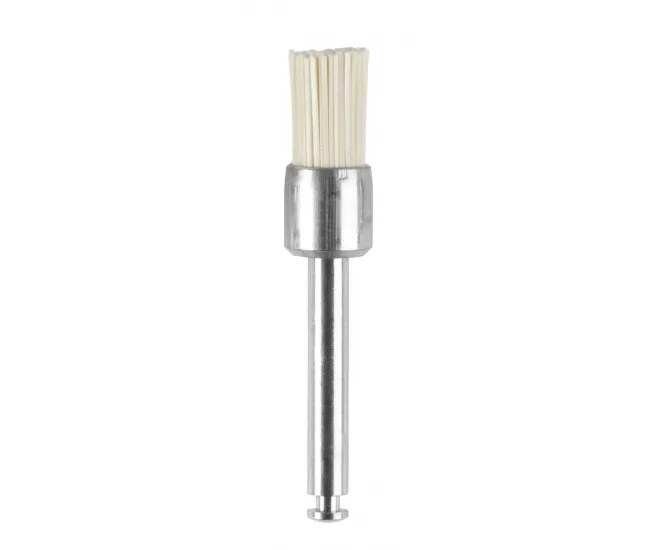 Prophylactic brush