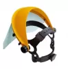Face shield with frame
