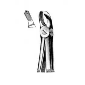 Ķirurģiskās knaibles augšējiem molāriem