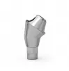 ICX-multi Abutment 35° with hex