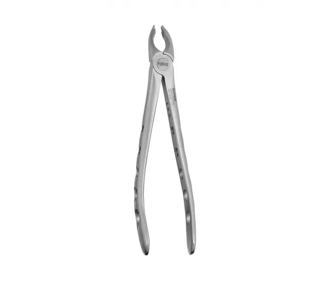 Forceps #35 for upper canines and premolars