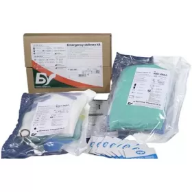 Emergency delivery kit