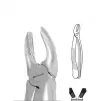 Forceps S#18 SM molar left