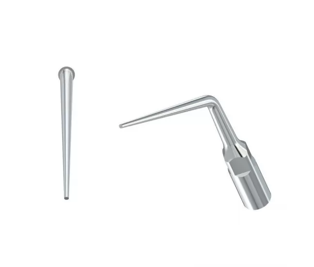 Scaler tip EMS E3