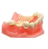 Thermoplastic acrylic BIOCETAL