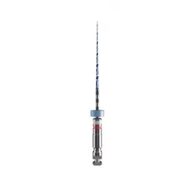 XP-Endo Rise Glider, 6 pcs.