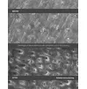 Гель с травлением фосфорной кислоты i-GEL N, 42 г +2 x 4,3 г