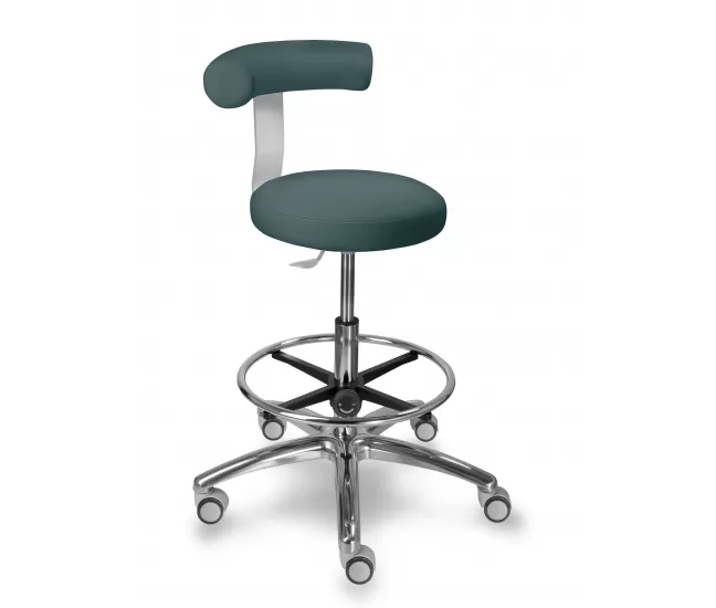 Chair with wheels, backrest and footrest 1283GDent
