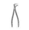 Exctracting forceps #36