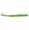 Toothbrush Piwy