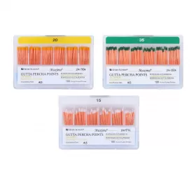 Gutta Percha Points 04 Taper, 100 pcs.
