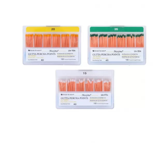 Gutta Percha Points 04 Taper, 100 pcs.