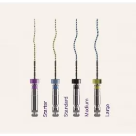 XP-4D Sequence 31 mm, 6 pcs.