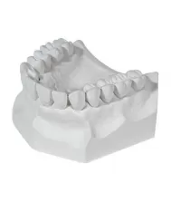 Materials for model preparation