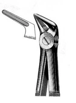 Exctracting forceps for lower roots