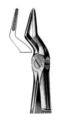 Exctracting forceps narrow beak for upper roots