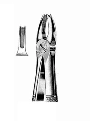 Exctracting forceps for upper canines