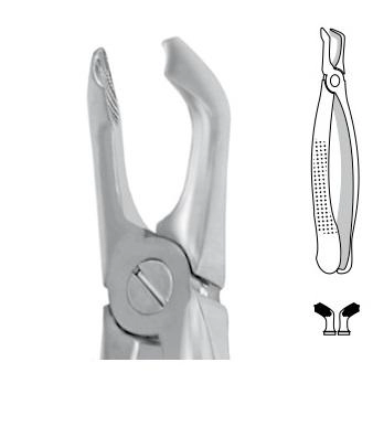 Forceps for molars