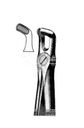 Exctracting forceps for lower wisdoms