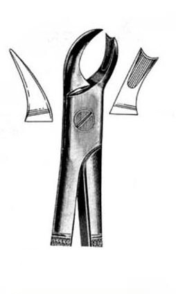 Exctracting forceps for right upper molars
