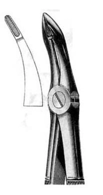 Exctracting forceps for upper roots