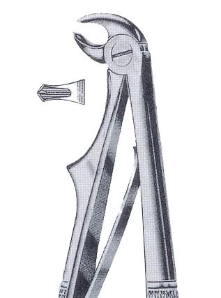 Exctracting forceps children`s for lower molars