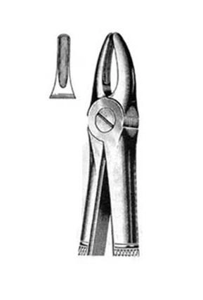 Exctracting forceps for upper laterals and bicuspids