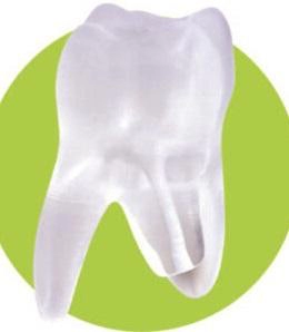 Study Model 2633-102-PCL